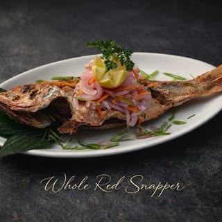 Whole Red Snapper