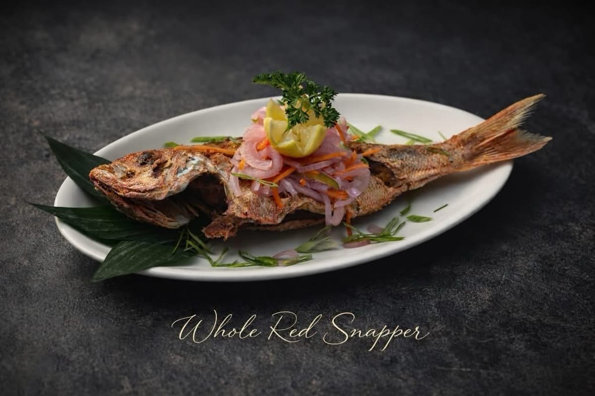Whole Red Snapper
